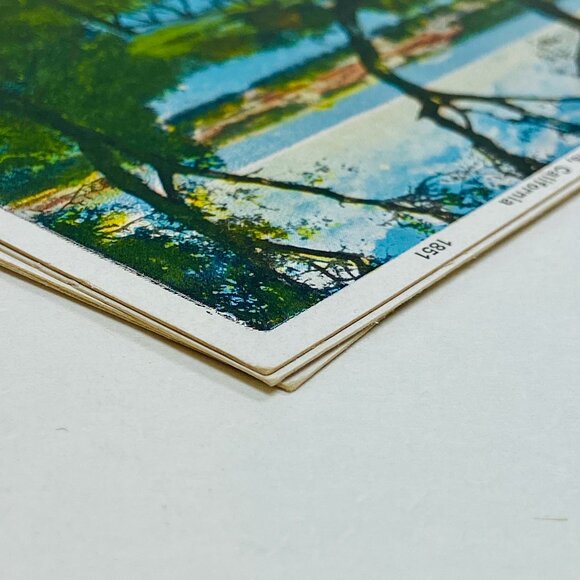 Genuine Antique 1920s Stanford University Memorabilia Postcards - Picture 12 of 13